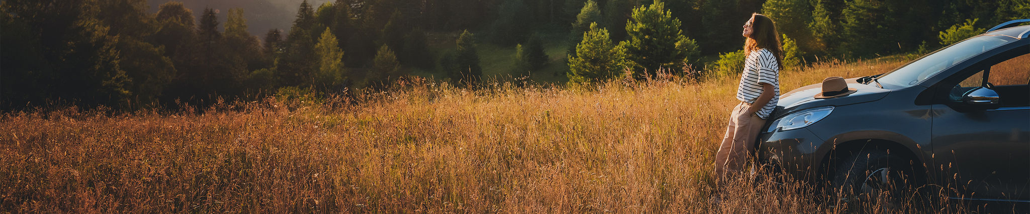 E-Contrôles pour véhicules électriques et hybrides